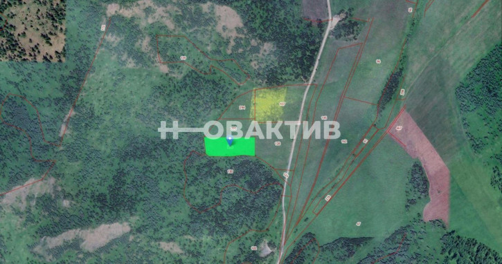 Земельный участок Респ Алтай, Шебалинский р-н, с/п Дъектиекское