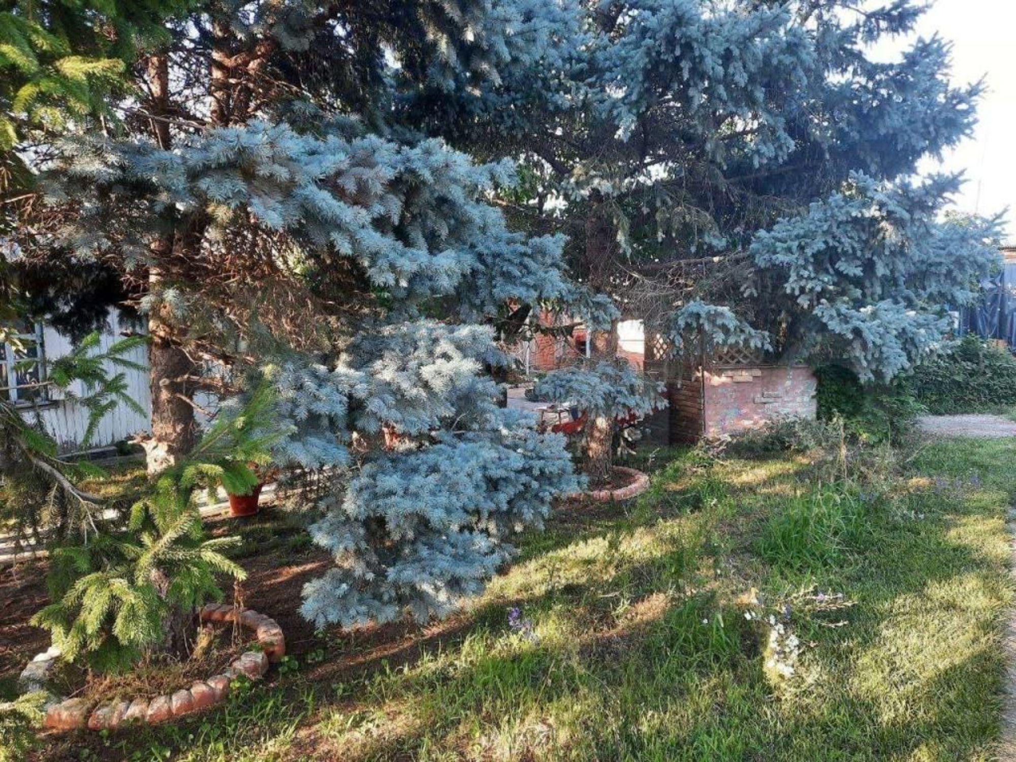 Купить дачу, дом, коттедж за 10 000 000 рублей на Восточная ул, 102