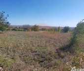 земля 10 сот Садовая ул.