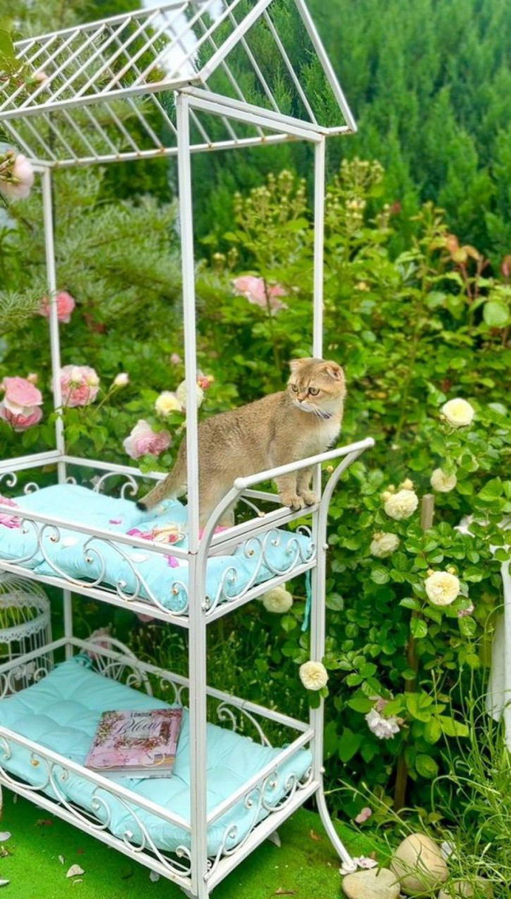 Коттедж/дом Киевская ул, 1