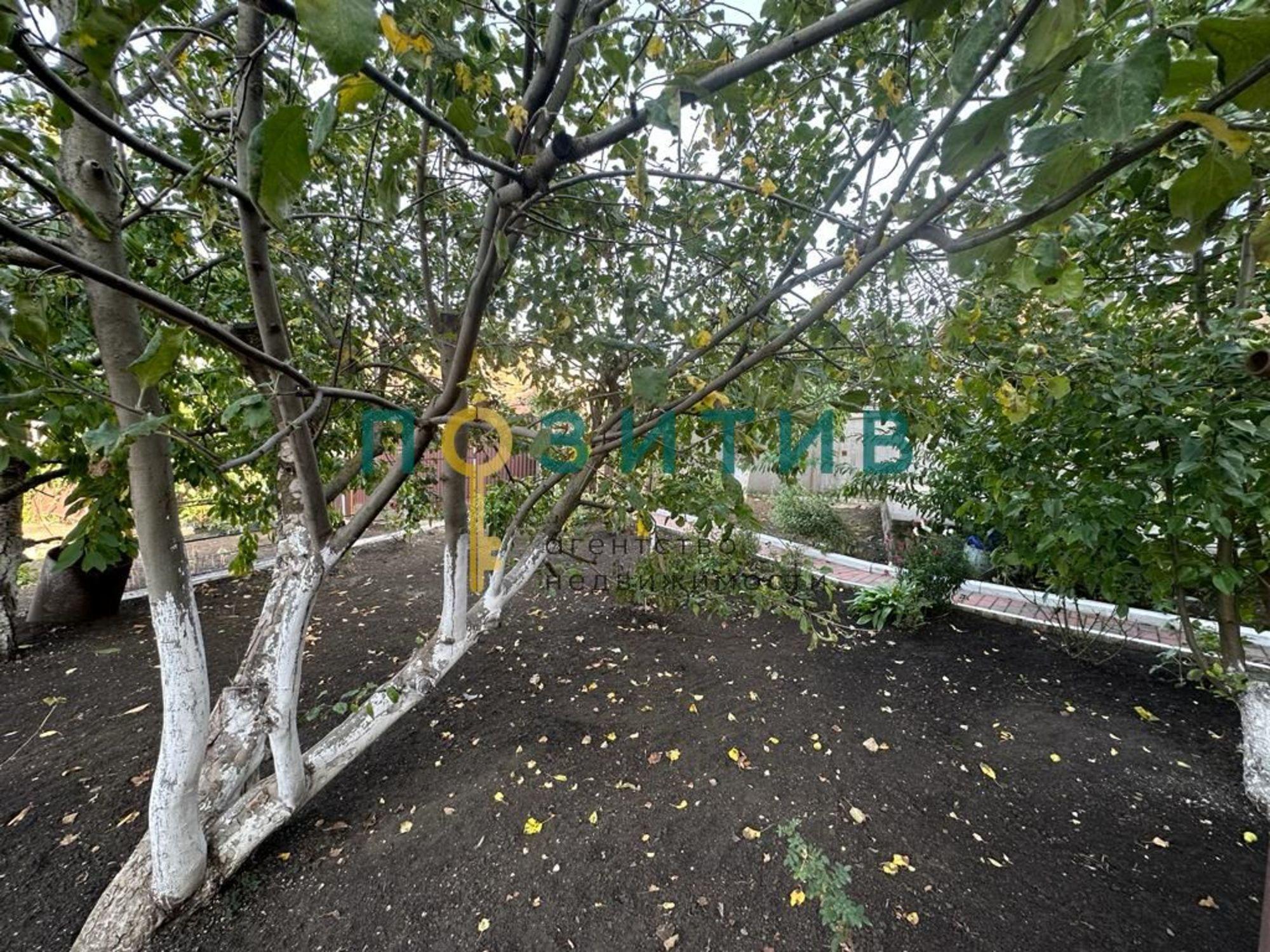 Купить дачу, дом, коттедж за 21 000 000 рублей на Полевая