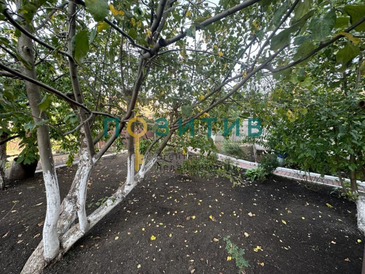Коттедж/дом Полевая