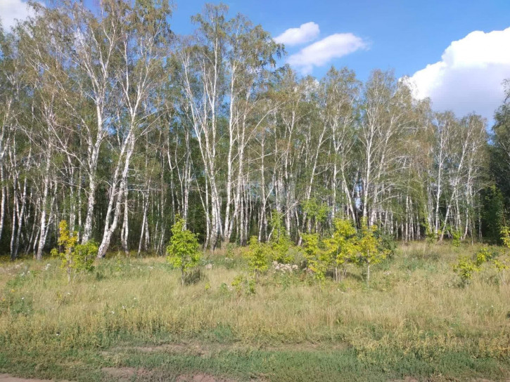 Земельный участок Ульяновка село