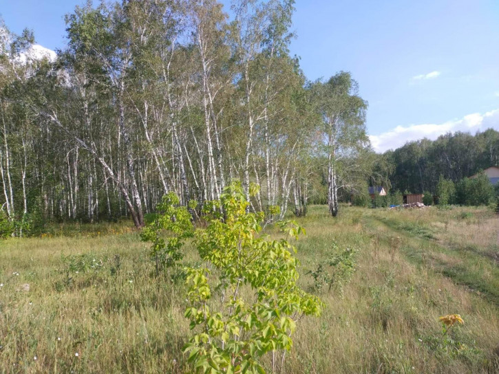 Земельный участок Ульяновка село