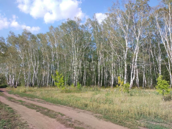 Земельный участок Ульяновка село