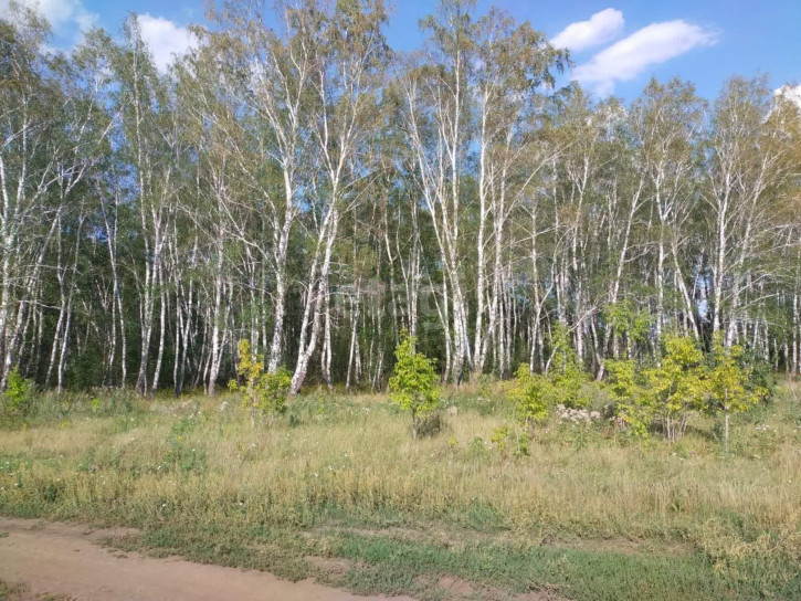 Земельный участок Ульяновка село
