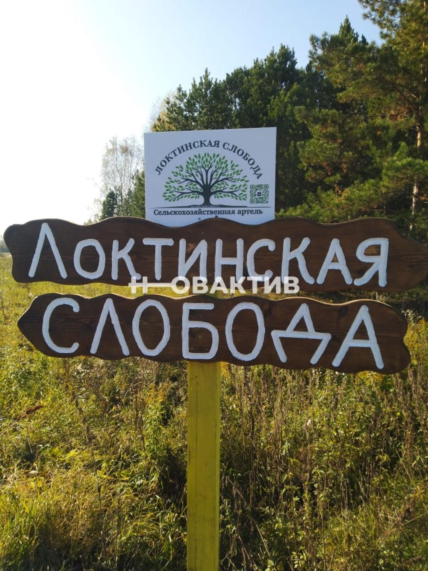 Сдать землю, земельный участок за 5 000 рублей на Россия, Новосибирская область, Мошковский район, сельское поселение Барлакский сельсовет