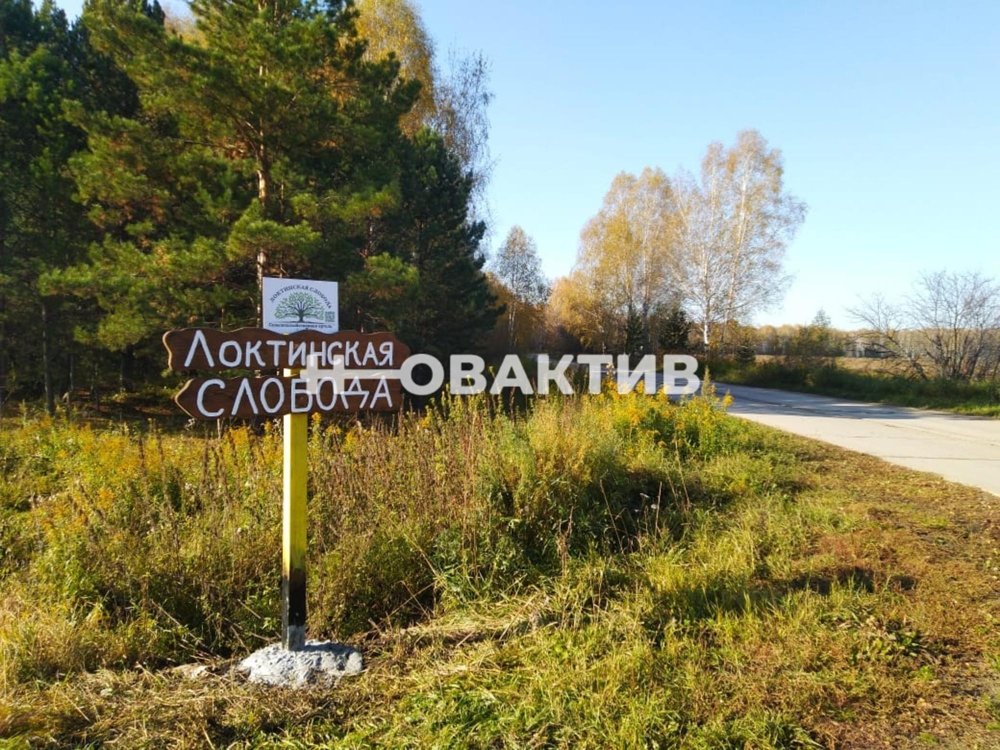 Сдать землю, земельный участок за 5 000 рублей на Россия, Новосибирская область, Мошковский район, сельское поселение Барлакский сельсовет