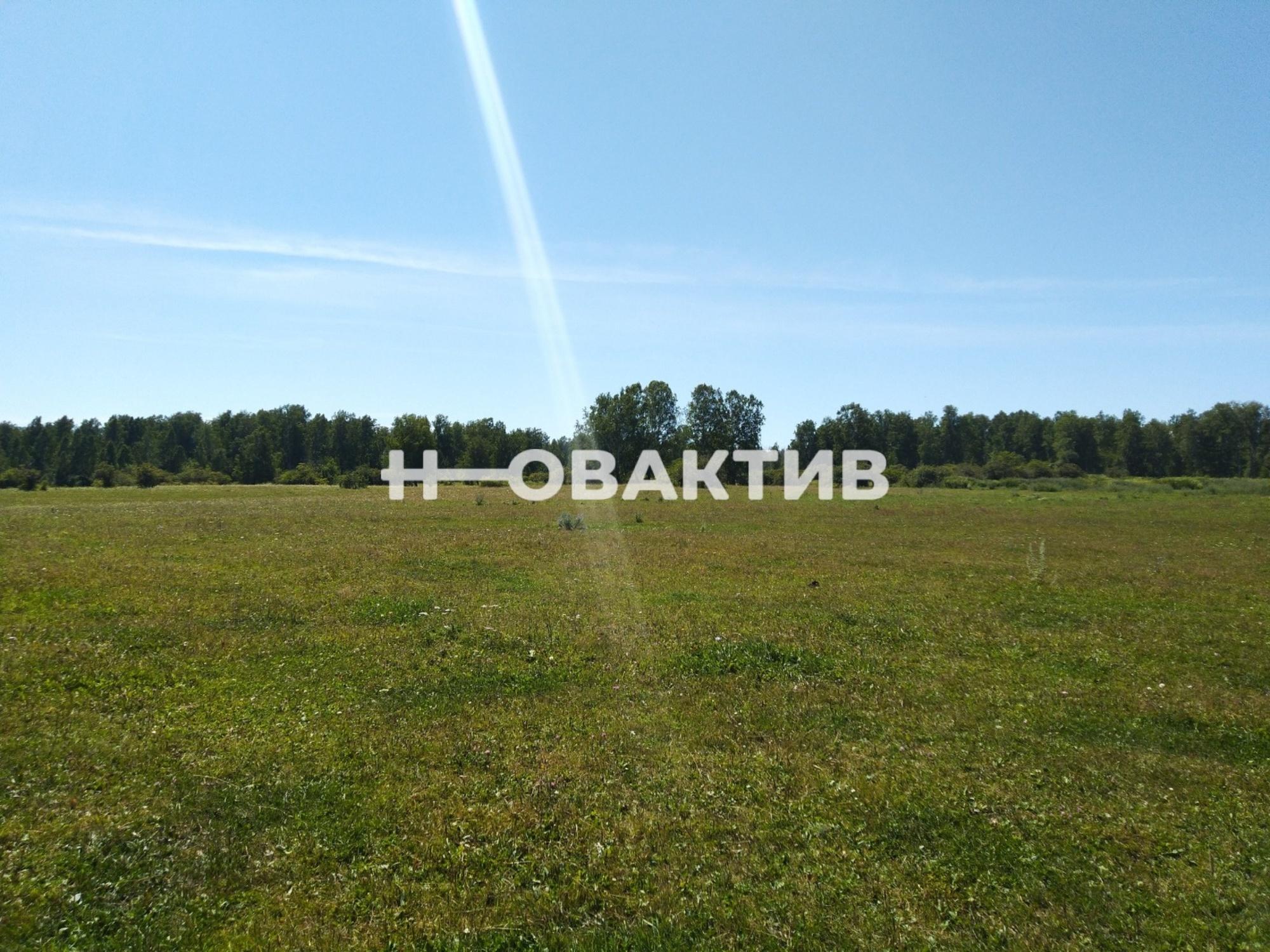 Купить землю, земельный участок за 3 800 000 рублей на Россия, Новосибирская область, Мошковский район, сельское поселение Барлакский сельсовет
