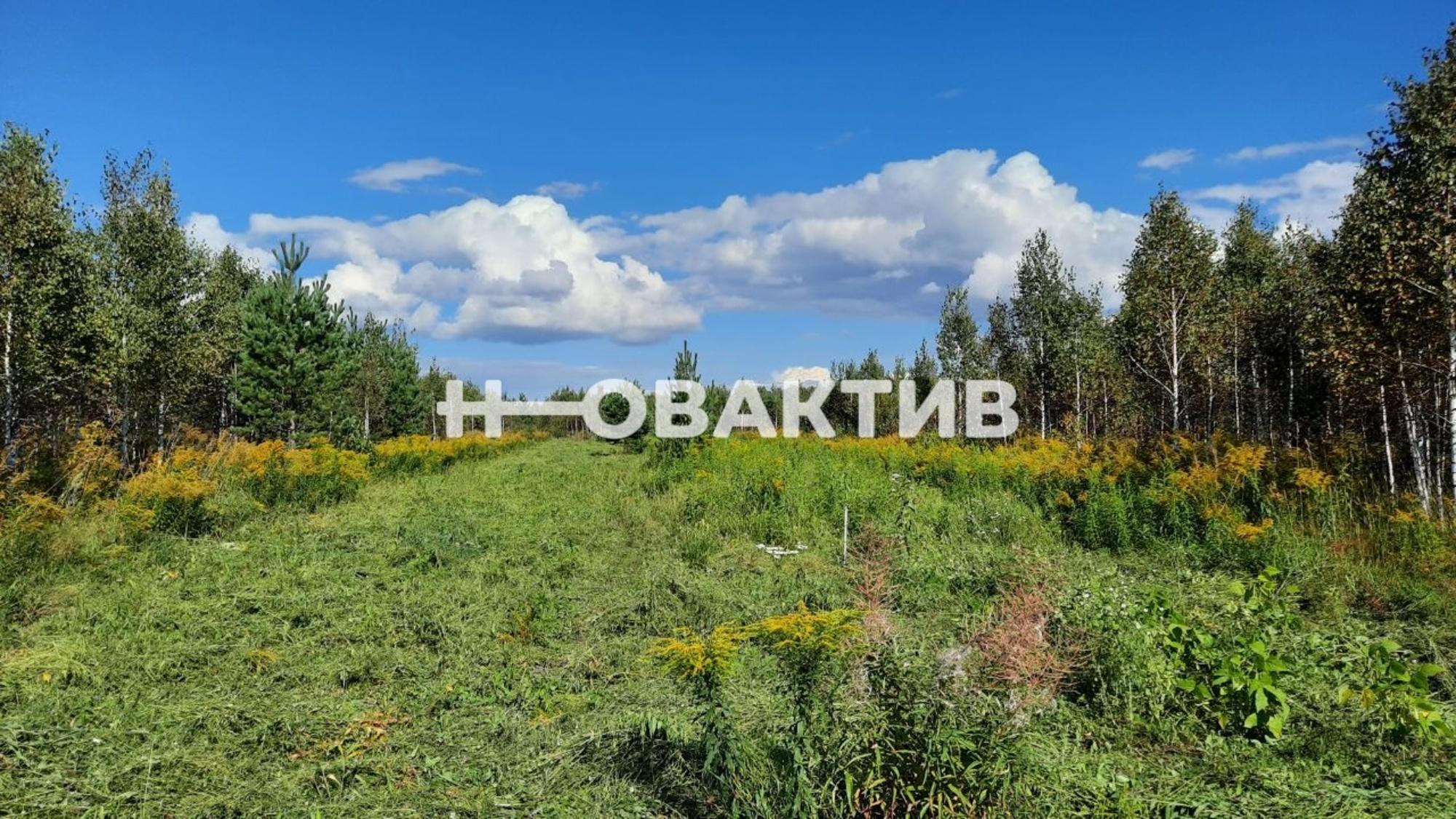 Сдать землю, земельный участок за 5 000 рублей на Россия, Новосибирская область, Мошковский район, сельское поселение Барлакский сельсовет
