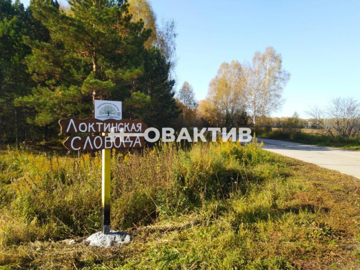 Земельный участок Россия, Новосибирская область, Мошковский район, сельское поселение Барлакский сельсовет