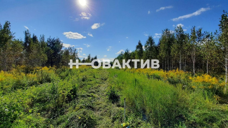 Земельный участок Россия, Новосибирская область, Мошковский район, сельское поселение Барлакский сельсовет