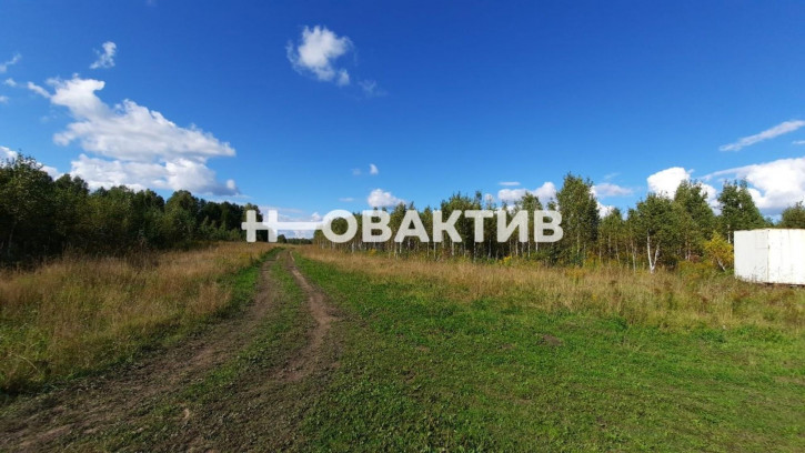 Земельный участок Россия, Новосибирская область, Мошковский район, сельское поселение Барлакский сельсовет