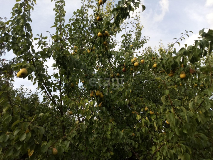 Коттедж/дом «Владимир — Тума» — Иванищи