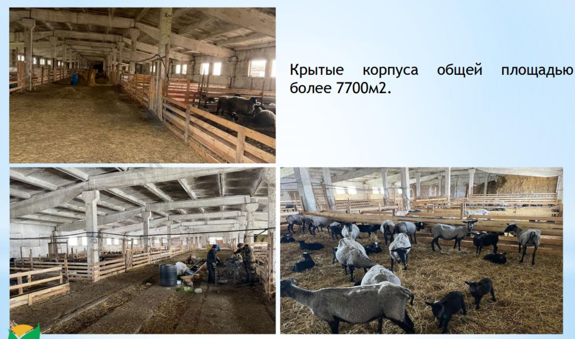 Купить производственную площадь за 50 000 000 рублей на Зеленая ул, 52