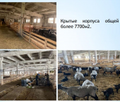 помещение 7700 кв м Зеленая ул, 52