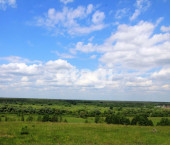 земля 431 сот 
