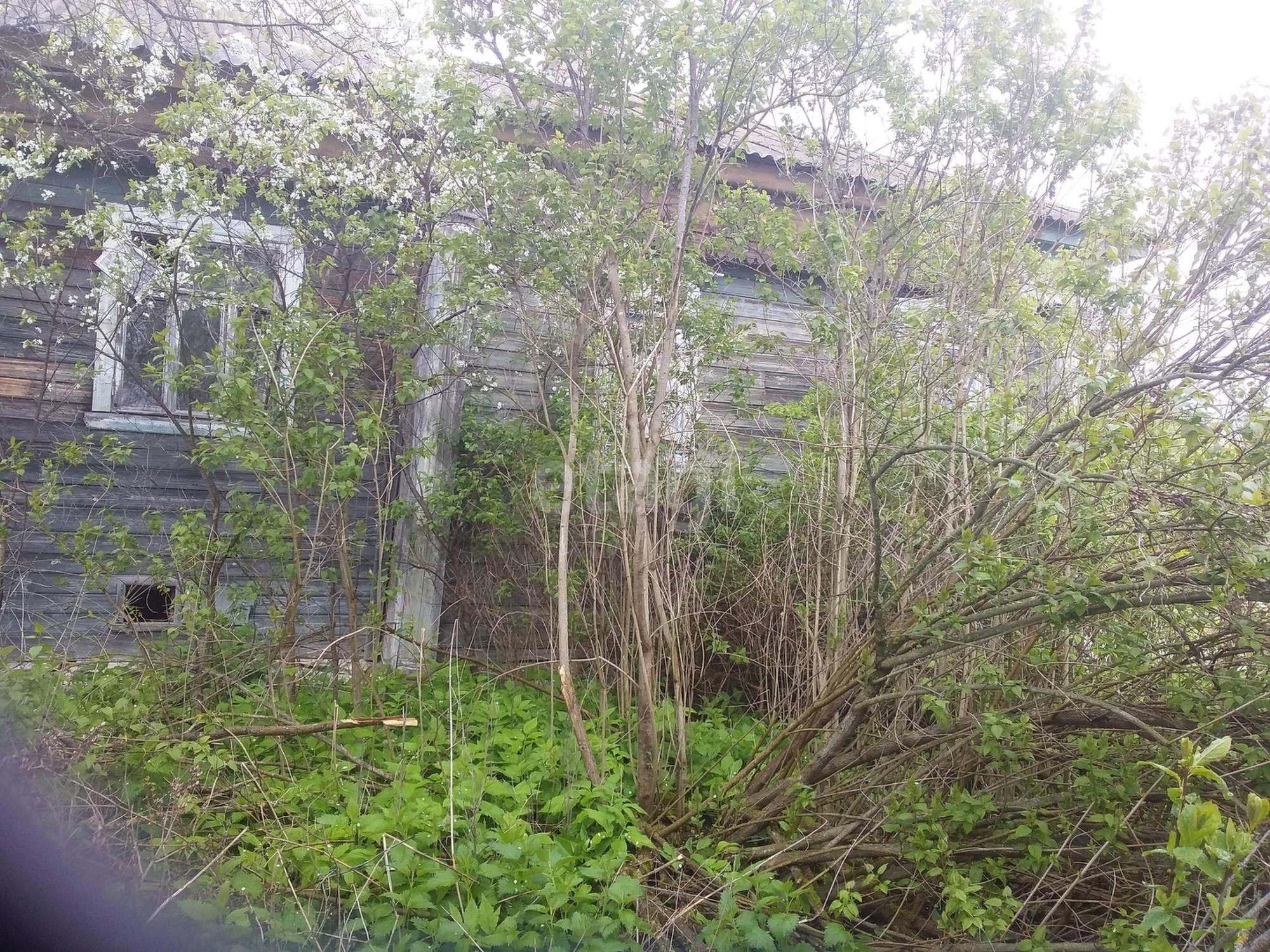 Купить дачу, дом, коттедж за 360 000 рублей