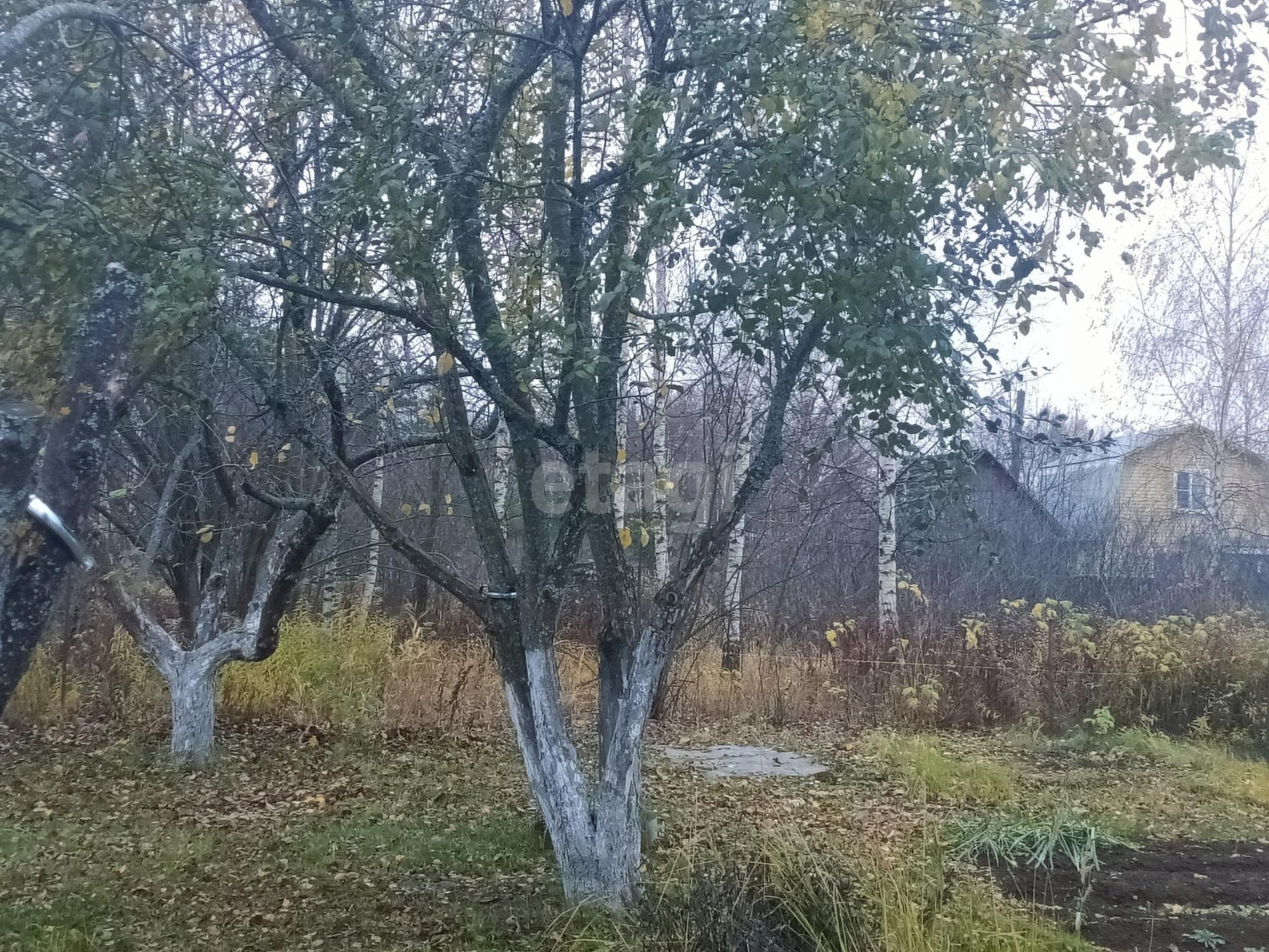 Купить дачу, дом, коттедж за 530 000 рублей на «Волга»