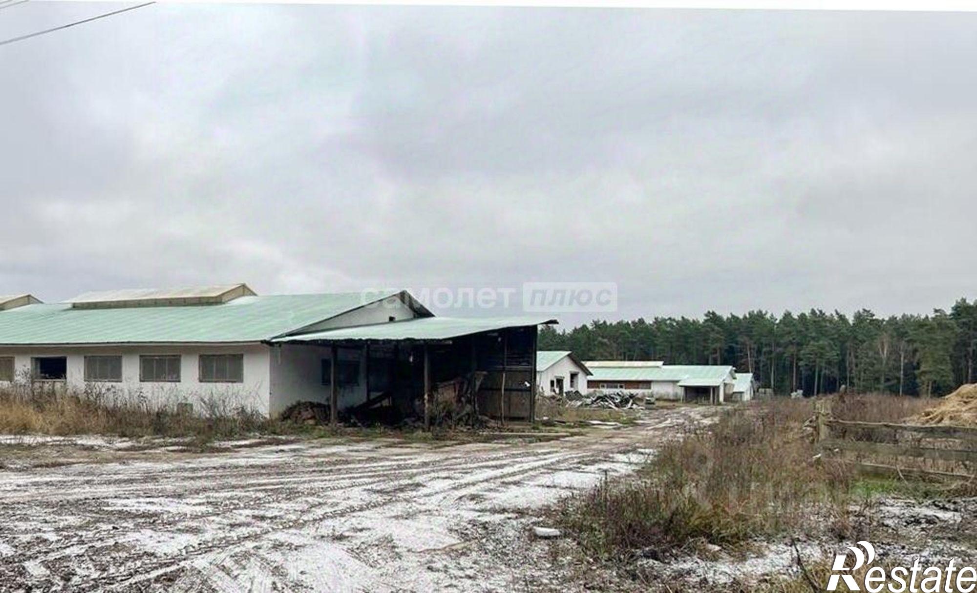 Купить производственную площадь за 67 000 500 рублей на Юхновский район, деревня Колыхманово