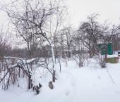 коттедж 8 кв м Добросельская улица