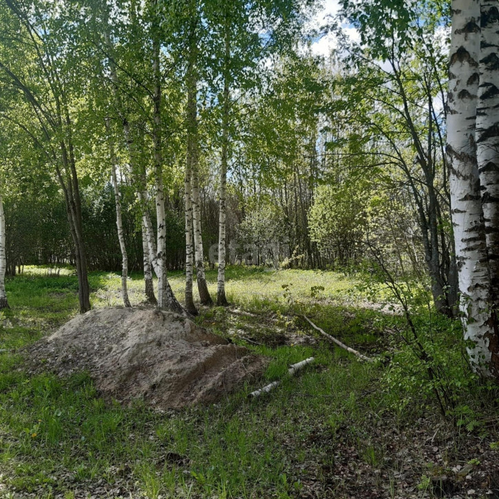 Коттедж/дом