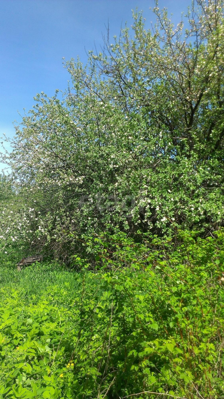 Коттедж/дом Сергиевы-Горки — Медведево — Курбатиха