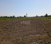 земля 31.5 сот 