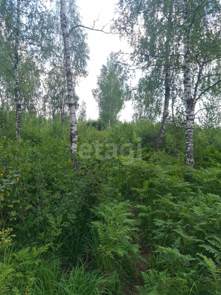 Земельный участок улица Пушкина