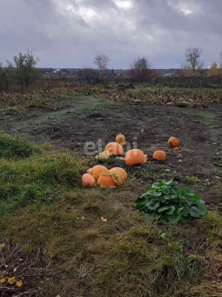 Коттедж/дом Комсомольская, 30