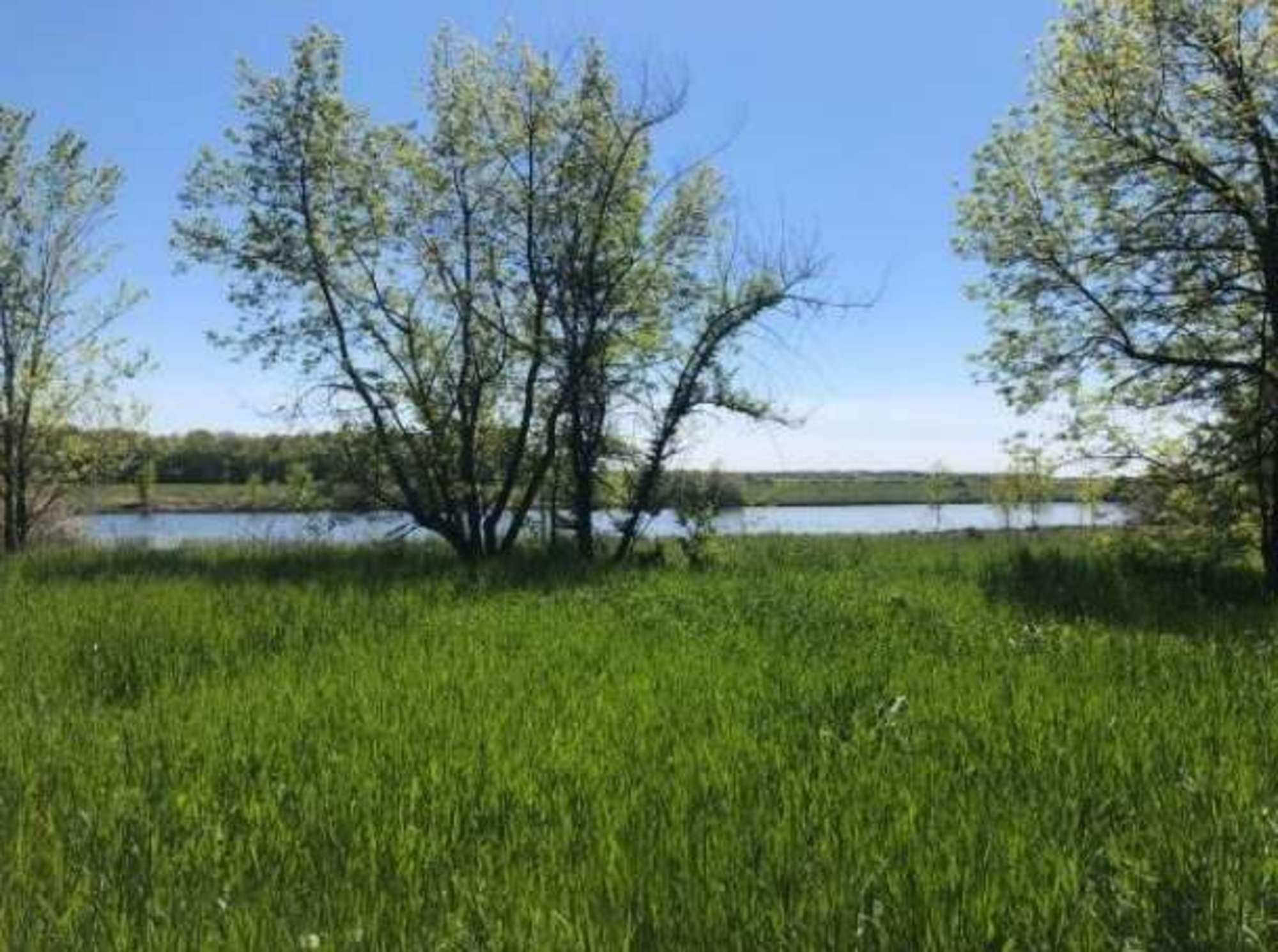 Купить землю, земельный участок за 12 014 400 рублей на Купино село