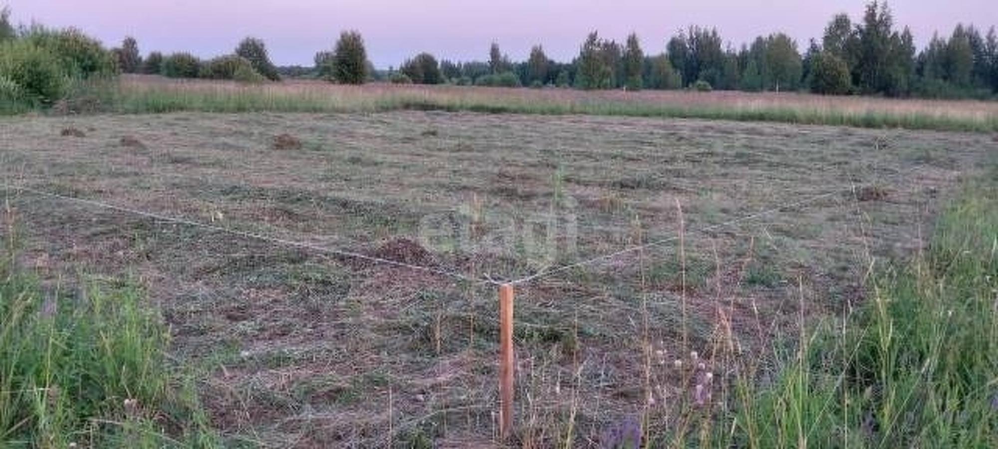 Купить землю, земельный участок за 650 000 рублей на Родная,
