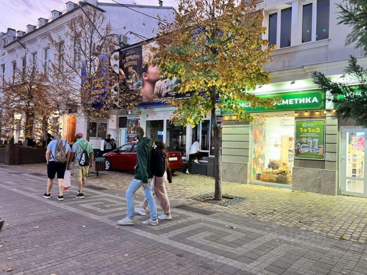 Отдельное здание улица Пушкина, 11,  д. 11