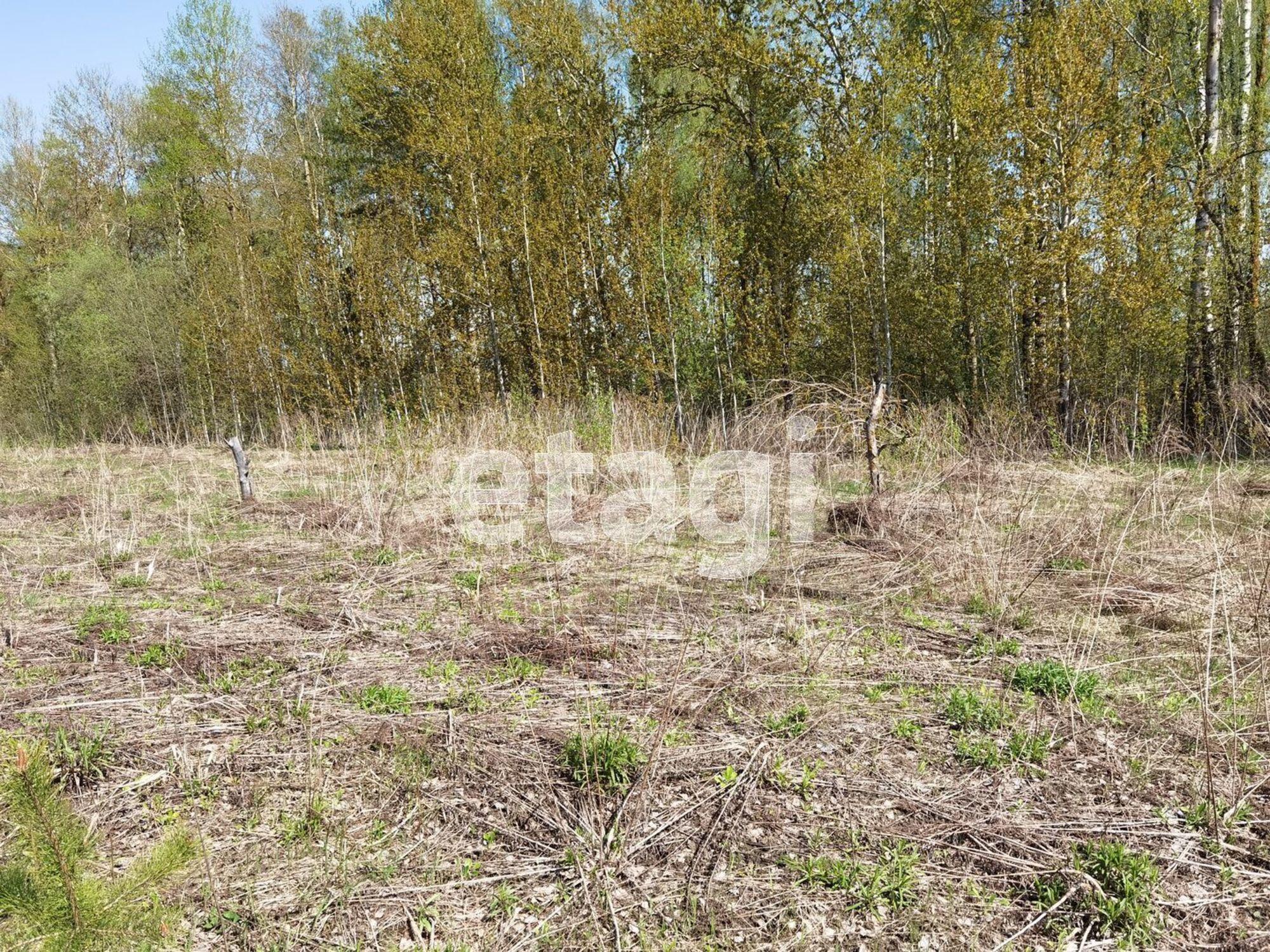 Купить землю, земельный участок за 1 250 000 рублей