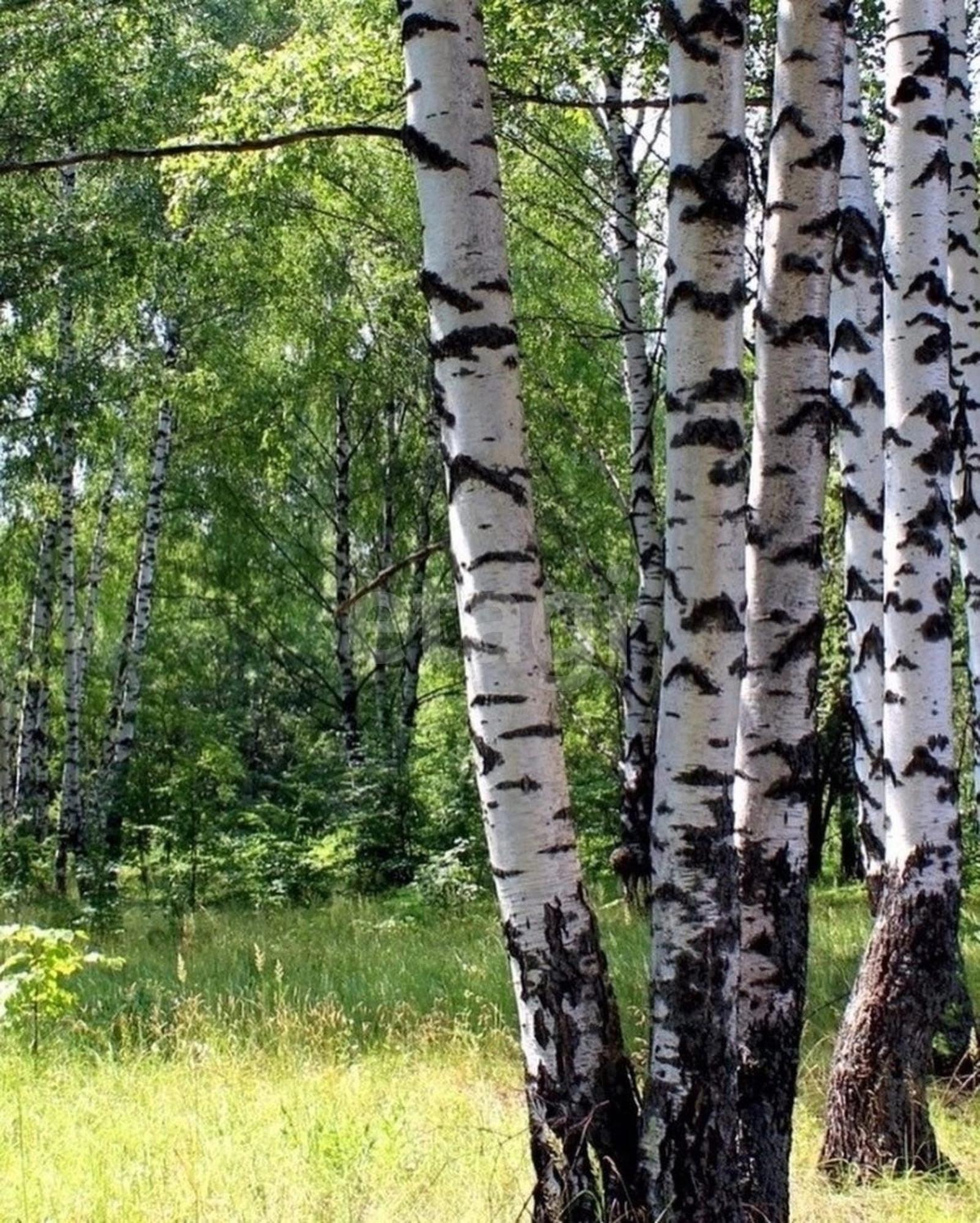 Купить землю, земельный участок за 1 000 000 рублей