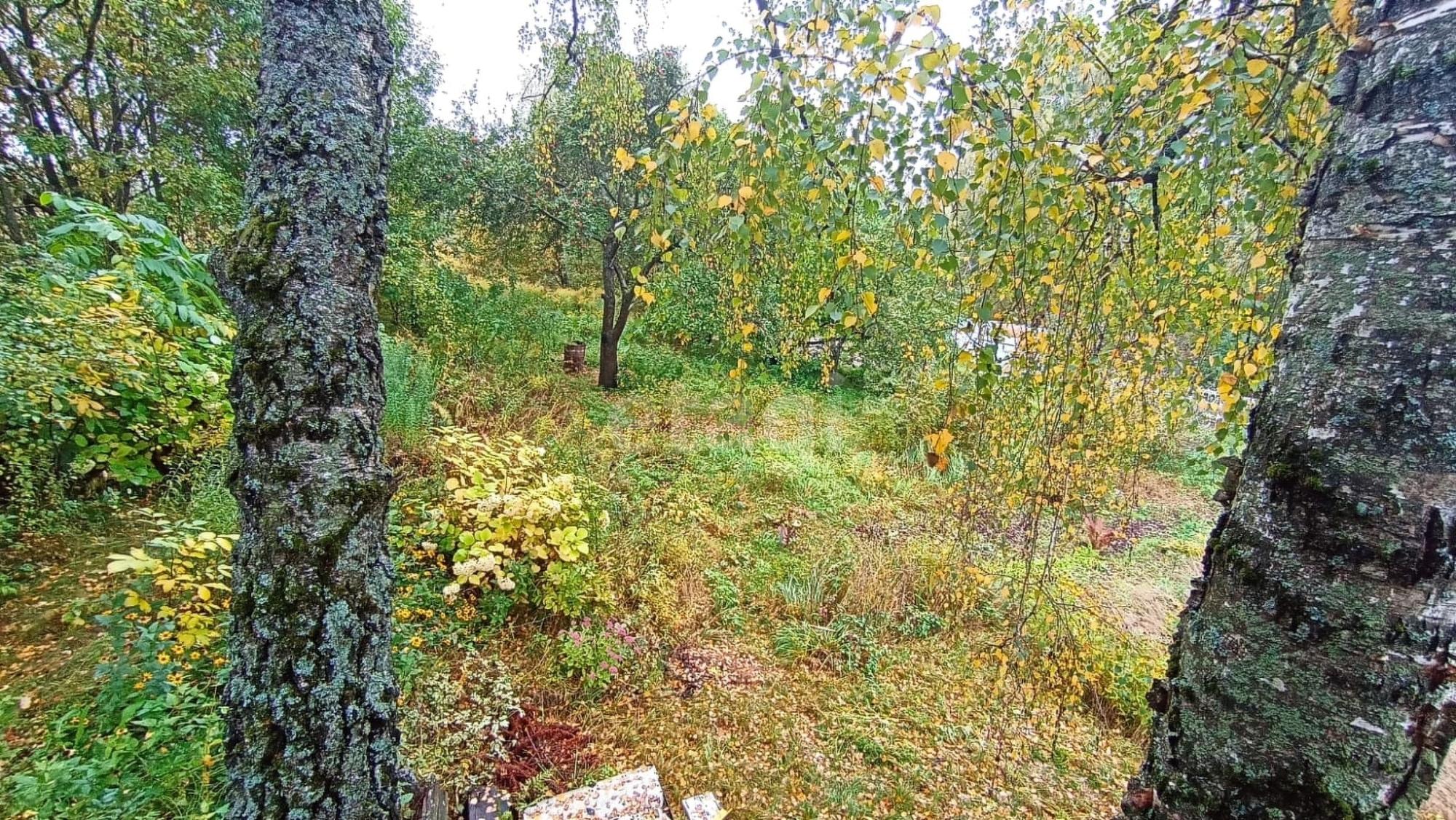 Купить дачу, дом, коттедж за 450 000 рублей