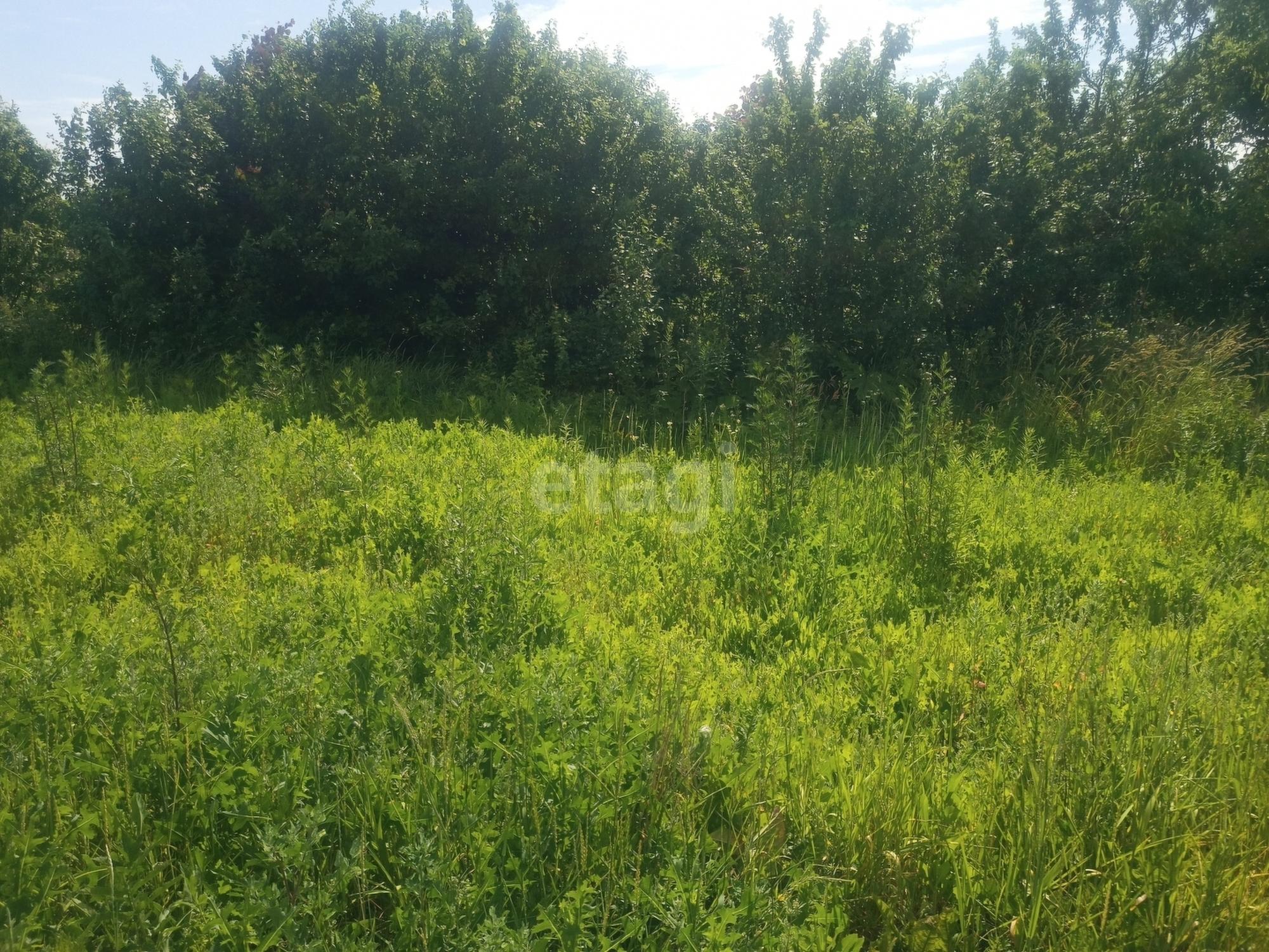 Купить дачу, дом, коттедж за 2 350 000 рублей на Центральная улица