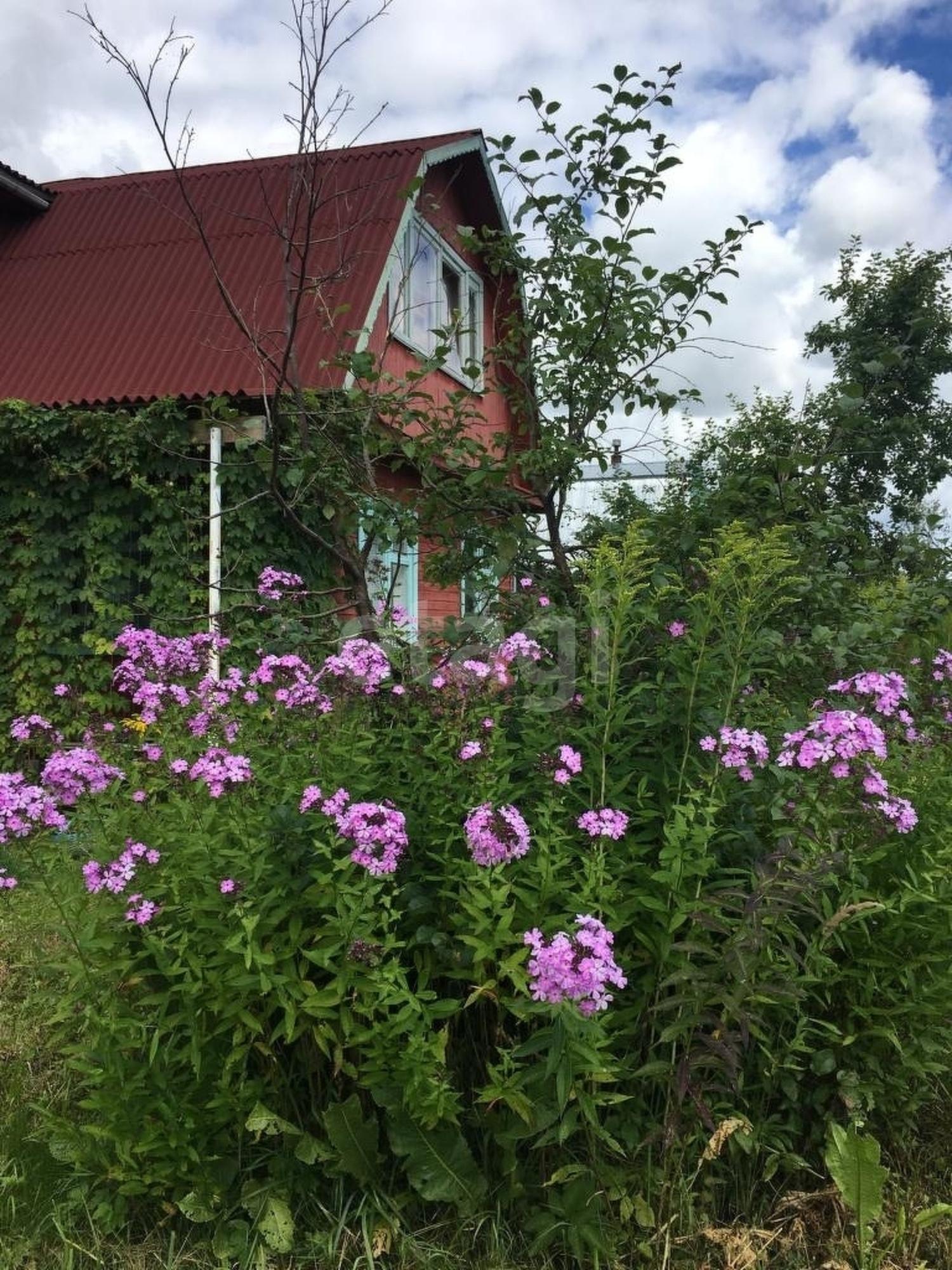 Купить дачу, дом, коттедж за 990 000 рублей на Кубань снт.