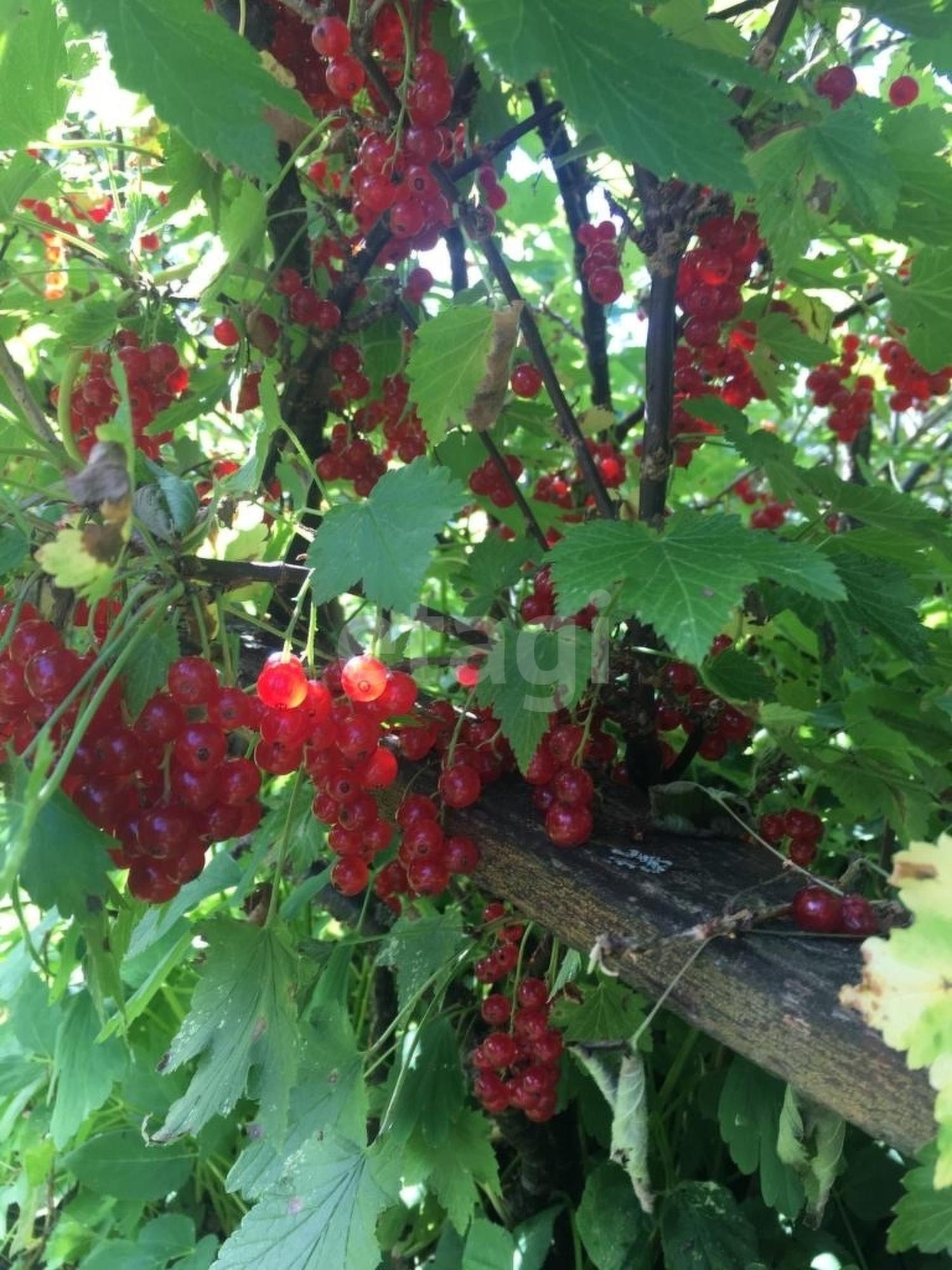 Купить дачу, дом, коттедж за 990 000 рублей на Кубань снт.