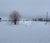 земля 25 сот 