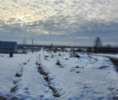 земля 11 сот 