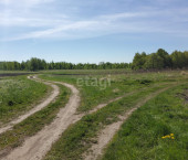 земля 20 сот 