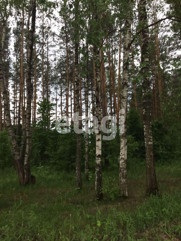 Земельный участок