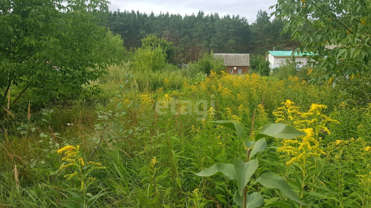 Земельный участок Болотная улица