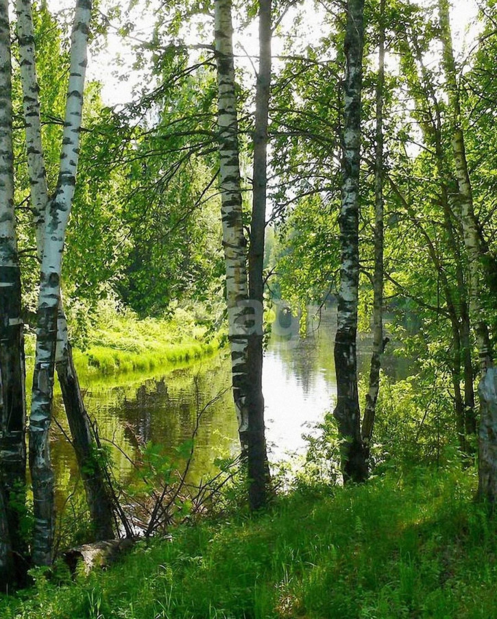 Земельный участок
