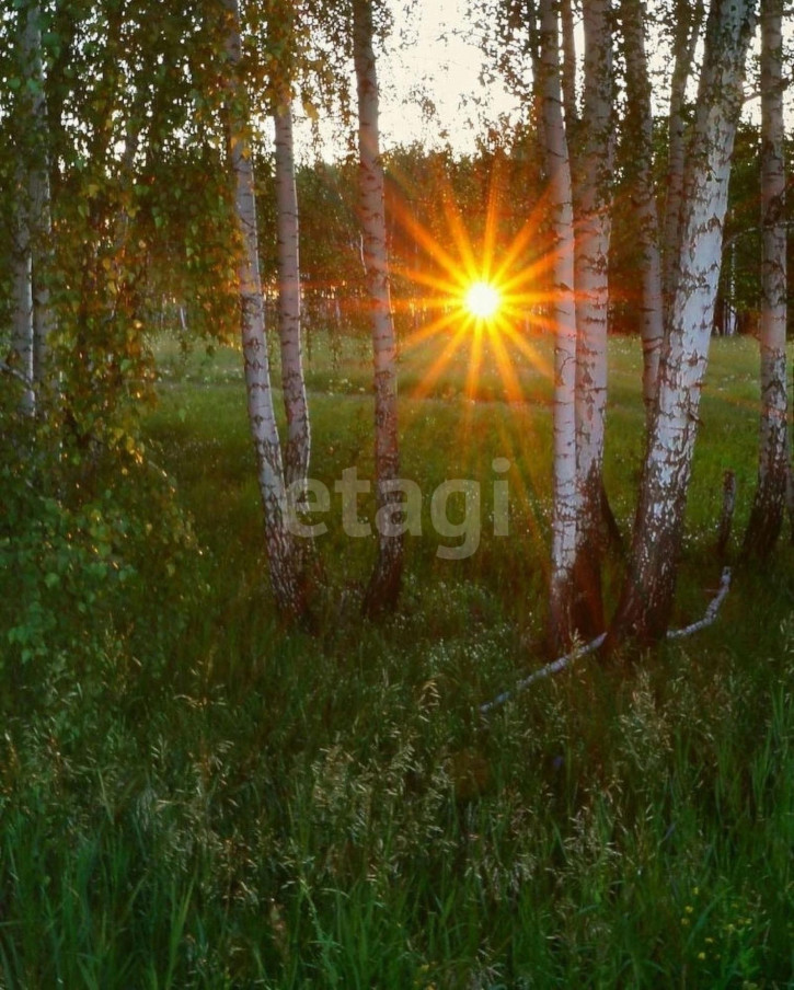 Земельный участок