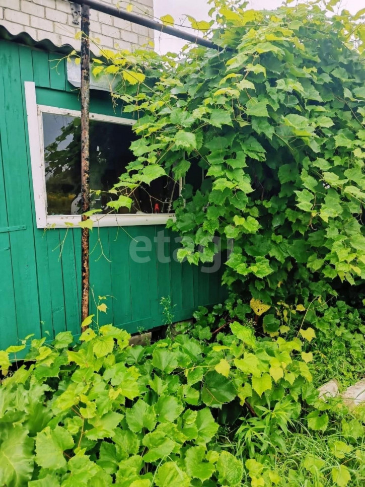 Коттедж/дом