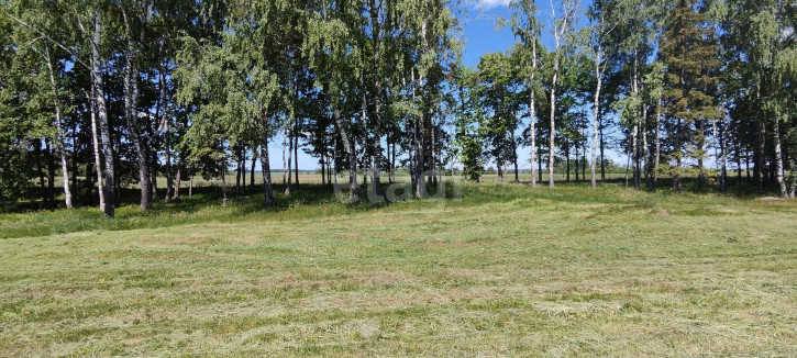 Земельный участок Парковая улица