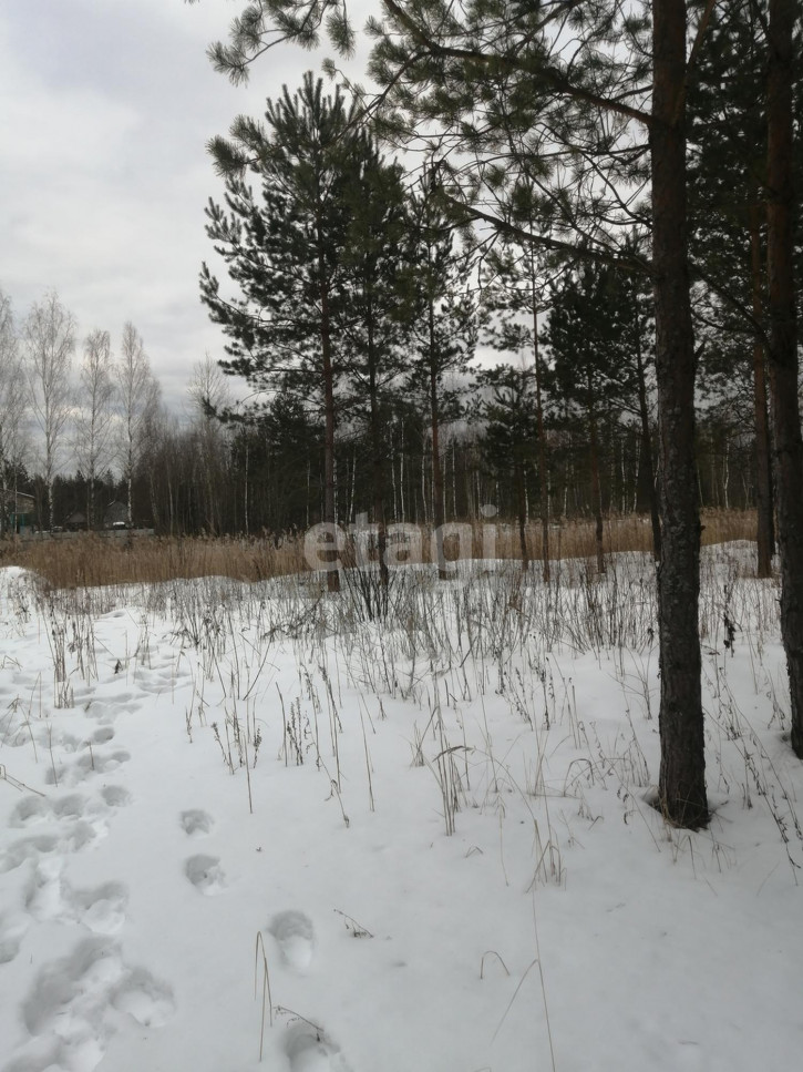 Земельный участок