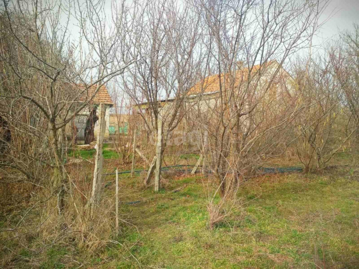 Коттедж/дом Зеленая